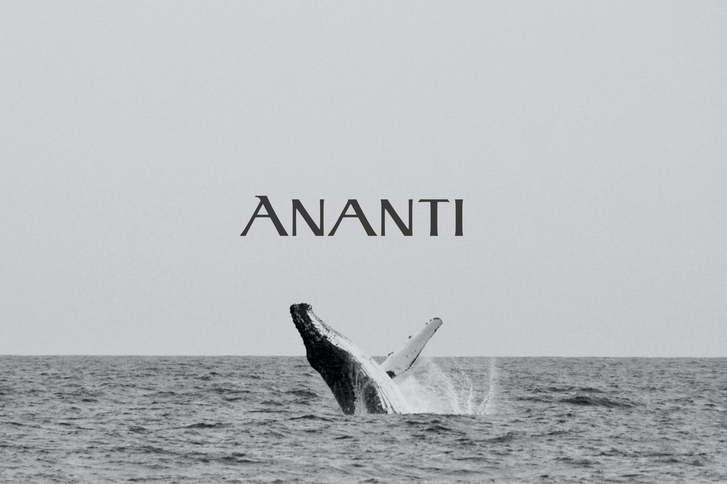 ananti grand typeface design