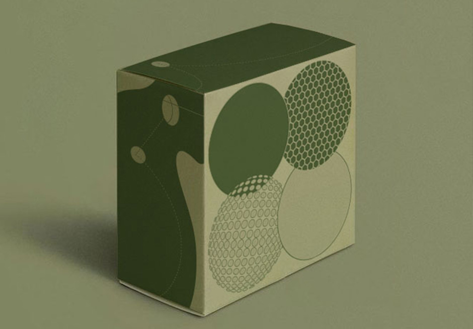 Golf ball Case